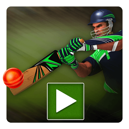 Cricket Batter screenshot